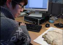 Dr Patricia Stewart transcribing the Great Parchment Book