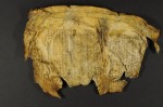 Page from the Great Parchment Book